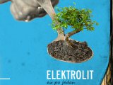 ParkFest 6 - Elektrolit