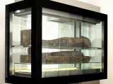 Zbrinuta Beogradska mumija