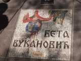 beta vukadinovic, mozaik