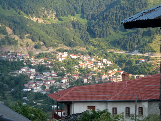 RUŽA LUTANJA